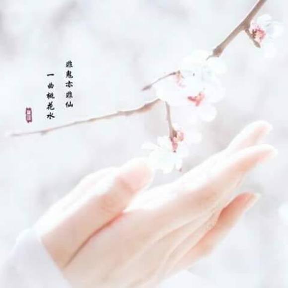 nguyentohuong